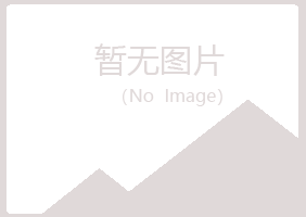 盐津县夏日化学有限公司